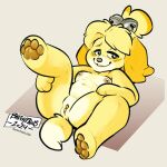 animal_crossing baphypaws blush breasts canid canine canis domestic_dog female genitals hi_res isabelle_(animal_crossing) looking_at_viewer mammal nintendo nude pussy signature simple_background solo