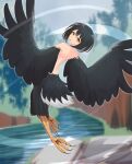  1girl back bird_legs bird_tail black_feathers black_hair black_wings commentary_request feathered_wings feathers forest harpy highres looking_at_viewer looking_back monster_girl nature nude original outdoors river short_hair solo tail talons utbranch winged_arms wings yellow_eyes 