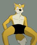  absurd_res anthro blush boxers_(clothing) briefs canid canine clothing fox fox_mccloud fox_tail fur hi_res male mammal nihilistdigby nintendo orange_body orange_fur simple_background solo spread_legs spreading star_fox underwear video_games 