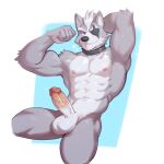 2024 abs anthro balls barazoku biceps big_balls big_muscles big_penis blue_background border canid canine canis collar erection eye_patch eyebrows eyewear flexing fur genitals hair hand_behind_head hi_res humanoid_genitalia humanoid_penis jrjresq looking_at_viewer male mammal muscular muscular_anthro muscular_male navel nintendo nipples nude obliques pecs penis serratus simple_background sitting smile solo star_fox thick_thighs tuft vein white_border wolf wolf_o&#039;donnell