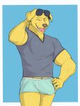2024 anthro big_bulge bird_dog blue_background bojack_horseman border briefs bulge canid canine canis clothed clothing domestic_dog erection erection_under_clothing eyebrows eyes_closed eyewear eyewear_on_head fur hand_behind_head hand_on_hip hi_res huge_bulge hunting_dog jrjresq labrador male mammal mr._peanutbutter muscular muscular_anthro muscular_male netflix open_mouth open_smile retriever shirt simple_background smile solo standing sunglasses sunglasses_on_head teeth tongue topwear tuft underwear white_border