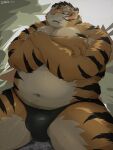  2022 anthro belly blush bodily_fluids bulge clothing felid hi_res humanoid_hands kemono male mammal morningbread16 navel orange_body overweight overweight_male pantherine sitting solo sweat tiger underwear 