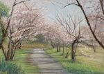  bush cherry_blossoms day grass highres light no_humans norako_pastel original outdoors park path plant reeds shadow tree 