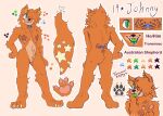 adult ambiguous_gender anthro australian australian_cattle_dog australian_shepherd bovid bovine canid canine canis cattle cattledog domestic_dog drawing furry herding_dog hi_res invalid_tag johnny_furstar mammal model_sheet pastoral_dog sheepdog sheet_(disambiguation) shepherd solo trans_(lore) transsexual