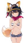  1girl absurdres animal_ear_fluff animal_ears bare_shoulders bikini blue_archive blush breasts brown_hair flower fox_ears fox_tail guanlingzhi_(crazy6) hair_flower hair_ornament highleg highleg_bikini highres izuna_(blue_archive) izuna_(swimsuit)_(blue_archive) looking_at_viewer midriff navel open_fly scarf short_hair short_shorts shorts sidelocks simple_background small_breasts smile striped_bikini striped_clothes swimsuit tail visor_cap white_background yellow_eyes 