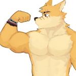 1:1 2024 anthro biped canid canine canis cooper_krager countershade_fur countershading eye_scar facial_scar flexing flexing_bicep fur hi_res looking_aside male mammal muscular muscular_anthro muscular_male nose_scar pecs remember_the_flowers scar solo ubeswt white_body white_countershading white_fur wolf wristband_only yellow_body yellow_fur