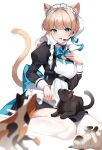  1girl adjusting_apron animal_ear_fluff animal_ears animal_on_lap apron black_cat black_dress blonde_hair blue_archive blue_bow blue_bowtie blue_eyes blue_ribbon bow bowtie breasts bun_cover calico cat cat_ears cat_girl cat_tail dress earpiece framed_breasts frilled_apron frills hand_on_own_chest hand_up high_heels highres kemonomimi_mode kiyochii long_sleeves looking_at_viewer maid maid_apron maid_headdress medium_breasts on_lap open_mouth ribbon simple_background sitting solo tail tail_raised thighhighs toki_(blue_archive) wariza white_apron white_background white_footwear white_thighhighs 