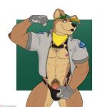 abs anthro armband bandanna bill_grey bulge canid canine canis clothed clothing clothing_pull domestic_dog erection flexing furgonomics genitals gloves handwear harness hat headgear headwear hi_res humanoid_genitalia humanoid_penis jacket kerchief male mammal mostly_nude muscular muscular_male nintendo nipples open_clothing open_shirt open_topwear pecs penis penis_base shirt smile solo spelunker_sal star_fox thong thong_pull topwear underwear underwear_pull