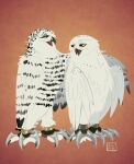 avian barran battle_claws bird boron_(gogh) duo feathers female feral guardians_of_ga&#039;hoole hi_res horned_owl kabuki-aku male orange_background owl simple_background snowy_owl true_owl white_body white_feathers yellow_eyes