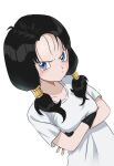  1girl black_hair blue_eyes breasts closed_mouth dragon_ball dragon_ball_z fingerless_gloves gloves highres landl long_hair looking_at_viewer shirt simple_background solo twintails videl white_background white_shirt 