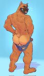  2022 anthro back_muscles backsack balls big_butt big_muscles bite biting_own_tongue blue_background bodily_fluids butt canid canine canis clothed clothing cum domestic_dog erection eyebrows genital_fluids genitals hands_on_hips hi_res humanoid_genitalia humanoid_penis jockstrap jockstrap_down looking_at_viewer looking_back looking_back_at_viewer male mammal muscular muscular_anthro muscular_male one_eye_closed partially_clothed penis pit_bull pj_(pittiepj) rear_view roamingthrough self_bite simple_background smile solo standing teeth tongue tongue_bite tongue_out underwear underwear_down wink 