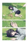  1girl animal animal_ears barefoot black_hair black_skirt blunt_bangs border brown_cat cat cat_ears cat_girl cat_tail closed_eyes commentary day expressionless extra_ears falling_petals from_above full_body grass highres long_sleeves lying on_grass on_side original outdoors outside_border petals sailor_collar sakiika0513 school_uniform sequential serafuku shirt short_hair skirt sleeping tail white_border white_shirt 