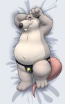 2024 3_toes absurd_res anthro belly big_belly black_nose brok_the_investigator clothing dakimakura_design dakimakura_pose feet generic_rat_(brok_the_investigator) grey_body hi_res jockstrap kemono lying male mammal murid murine navel nookdae overweight overweight_male rat rodent smile solo toes underwear