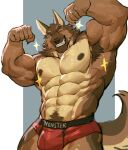 2024 abs absurd_res anthro barazoku biceps big_muscles biped boxers_(clothing) brown_body brown_fur canid canine canis clothing flexing flexing_bicep flexing_both_biceps fur hi_res looking_at_viewer male mammal muscular muscular_anthro muscular_male o_reowoof pecs smile solo underwear wolf