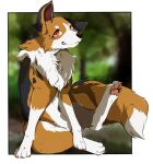  2021 4_toes absurd_res ambiguous_gender black_body black_fur black_nose blurred_background blush border brown_body brown_fur canid canine canis claws clenched_teeth digitigrade dipstick_tail domestic_dog eru_(pixiv) feet feral fluffy fur gloves_(marking) grin happy hi_res kemono leg_markings looking_at_viewer mammal markings multicolored_body multicolored_fur multicolored_tail neck_tuft pawpads paws quadruped red_eyes sitting smile smiling_at_viewer socks_(marking) solo tail_markings teeth toe_claws toes tuft white_body white_border white_fur 