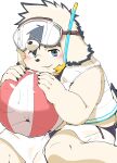 anthro ball beach_ball blue_eyes blush bottomwear canid canine canis clothing crouching domestic_dog eyewear floppy_ears fur goggles hi_res inflatable looking_at_viewer male mammal sankakuma_ku shorts slightly_chubby snorkel solo swimwear tajima_(tamacolle) tamacolle white_body white_fur