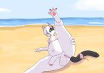  absurd_res anthro anus beach big_penis bikini ciayo_verry clothing domestic_cat felid feline felis genitals herm hi_res intersex male maleherm mammal meko pawpads paws penis pussy solo solo_focus swimwear 