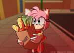  1boy amy_rose apple bag baguette boots bread derivative_work dress food fruit furry furry_female galaxy_cowboy gloves green_eyes highres looking_at_viewer outdoors paper_bag red_dress red_footwear screenshot_redraw sonic_(series) sonic_adventure spring_onion white_gloves 