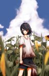  1other absurdres black_hair blood blood_on_clothes blood_on_face blood_on_hands blood_on_weapon blue_eyes blue_sky blurry blurry_foreground closed_mouth cloud cloudy_sky collarbone cumulonimbus_cloud film_grain flower hair_between_eyes highres holding holding_sack holding_weapon kushinaka looking_at_viewer nosebleed original outdoors petals sack shirt sky smile solo standing sunflower t-shirt weapon yellow_flower 