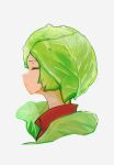  1girl cabbage closed_eyes closed_mouth collared_shirt commentary cropped_head dot_mouth expressionless food-themed_hair from_side green_hair higemu original portrait profile red_shirt shirt short_hair simple_background solo white_background 