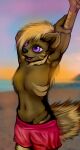  absurd_res canid canine eyes fluffy furry hi_res hyena invalid_tag mammal muffinvinvin portrait wallpaper 