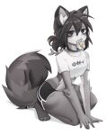  2024 4_toes 5_fingers anthro bitterk4t black_hair bottomwear clothing collar crop_top digital_media_(artwork) dipstick_ears ear_markings feet female fingers fur grey_body grey_fur hair hi_res hotpants inner_ear_fluff looking_at_viewer mammal midriff mouth_hold multicolored_ears procyonid raccoon shirt shorts simple_background solo spiked_collar spikes toes topwear tuft white_background white_body white_fur 