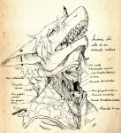  2018 anatomy anthro exposed_bone exposed_muscle fish gore hair hi_res italian_text luxury_gin male marine open_mouth organs shark sharp_teeth skinning solo teeth text translation_request vein 