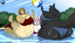  absurd_res anthro ball beach_ball bikini breasts canid canine canis chrisandcompany cleavage clothed clothing domestic_cat domestic_dog felid feline felis female group hair hi_res inflatable lagomorph leporid mammal overweight rabbit swimming_pool swimwear 