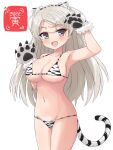  1girl 2022 animal_ears animal_hands animal_print bikini breasts chinese_zodiac conte_di_cavour_(kancolle) fake_animal_ears fake_tail gloves grey_eyes junes kantai_collection large_breasts long_hair navel paw_gloves print_bikini solo swimsuit tail tiger_ears tiger_print tiger_tail two_side_up white_background white_hair year_of_the_tiger 