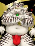  2022 anthro asian_clothing balls_outline belly bulge clothing east_asian_clothing felid fundoshi genital_outline hi_res japanese_clothing kemono male mammal navel overweight overweight_male pantherine penis_outline red_clothing red_fundoshi red_underwear rossciaco solo tiger underwear white_body 