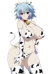  1girl absurdres animal_ears animal_print bell bikini blue_hair breasts cleavage cow_print eyebrows_visible_through_hair fake_animal_ears fake_horns fake_tail hair_between_eyes highres horns infinite_stratos looking_at_viewer neck_bell red_eyes sarashiki_tatenashi shiny shiny_hair shiny_skin short_hair simple_background solo space_gorilla swimsuit tail thighhighs white_background 