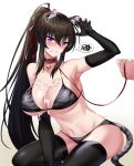  1girl 2022 absurdres animal_ears arm_up armpits bare_shoulders bell between_legs black_gloves black_hair black_legwear breasts chinese_zodiac choker claw_pose cleavage clenched_teeth counter:side elbow_gloves elze_(s01047480836) fake_animal_ears fake_tail gloves groin hair_ribbon halterneck highres jingle_bell large_breasts leash long_hair looking_at_viewer navel ponytail purple_eyes red_choker ribbon solo stomach string_bikini suggestive_fluid tail teeth thighhighs tiger_ears tiger_tail very_long_hair year_of_the_tiger yoo_mina 