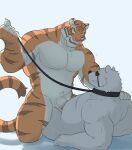 2024 alternate_version_at_source anthro balls bear belly collar dominant duo ear_piercing epic_games eye_patch eyewear felid fortnite genitals grin hi_res humanoid_genitalia humanoid_penis kneeling leash looking_at_another malcom508 male male/male mammal muscular muscular_anthro muscular_male oscar_(fortnite) overweight overweight_anthro overweight_male pantherine pecs penis piercing polar_bear polar_patroller reclining scar sitting_up smile stripes tiger ursine