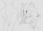  anthro badger breasts duo fellatio female fours_(artist) hi_res human human_on_anthro interspecies looking_at_another looking_at_partner male male/female mammal mustelid musteline oral penile sega sex size_difference sonic_boom sonic_the_hedgehog_(series) sticks_the_jungle_badger 