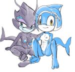  abs anthro blue_body blue_eyes blue_skin breasts cetacean delphinoid duo fan_character female fish fours_(artist) genitals grey_body grey_skin hands_behind_back hi_res looking_at_viewer mammal marine pussy sabre_the_shark sega shark sonic_legacy sonic_the_hedgehog_(series) tempest_the_dolphin toothed_whale yellow_eyes 