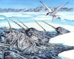 2024 acrylic_painting_(artwork) ambiguous_gender arctic arctic_tern beady_eyes black_body black_eyes black_feathers black_fur blue_eyes cetacean colored_pencil_(artwork) dolphin equid equine feathered_wings feathers feral flying fur grey_body grey_fur group hair heather_bruton horn ice_floe mammal marine monodontid mythological_creature mythological_equine mythology narwhal orange_body outside sky swimming teeth toothed_whale traditional_media_(artwork) unicorn unicorn_horn water white_body white_feathers white_hair wings