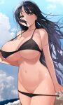  1girl absurdres bangs bare_shoulders bikini black_bikini black_hair blue_sky blush breasts cleavage collarbone grey_eyes highres large_breasts long_hair looking_at_viewer myao_(o3o333) navel original sky solo swimsuit thighs 