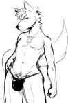  2019 anthro big_bulge black_clothing black_thong black_underwear bulge canid canine cheek_tuft chest_tuft clothed clothing crotch_tuft ear_piercing facial_tuft head_tuft looking_at_viewer low_res maceduu male mammal monochrome piercing solo thong thong_only topless topless_anthro topless_male tuft underwear underwear_only 