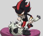 anthro canid canine canis dalmatian domestic_dog duo female genitals glaring hi_res imminent_sex knot knotted_penis legs_up male mammal penis sega shadow_the_hedgehog sonic_the_hedgehog_(series) thehumancopier