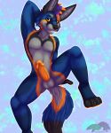 absurd_res anthro blue_body blue_fur canid canine canis coyote fur genitals hi_res male mammal mohawk orange_body orange_fur orange_penis penis pinup pose solo spread_legs spreading thatblackfox_(artist) 