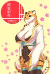  anthro at breasts clothed clothing felid female fur hi_res mammal pantherine smile solo stripes tiger 