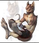 2025 anthro bottomwear brown_body brown_fur brown_hair claws clothed clothing computer double_claw electronics eye_scar facial_scar feet fluffy foot_focus full_pad fur grey_pawpads grey_soles gulonine hair hybrid kangaroo kredri laptop laptop_on_lap macropod male mammal marsupial marten mustelid musteline orange_eyes pawpads paws plantigrade ra&#039;zim sable_(marten) scar shirtless shorts shorts_only tail tan_body tan_fur topless