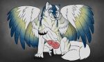 5:3 animal_genitalia animal_penis black_nose blue_body blue_eyes blue_fur blue_wings canid canine canine_genitalia canine_penis erection feathered_wings feathers feral front_view fur genitals hi_res killthe_demon looking_at_viewer male mammal mouth_closed penis red_penis simple_background sitting solo tail white_body white_fur white_tail wings yellow_body yellow_fur yellow_wings 