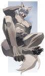 abs absurd_res anthro big_pecs blue_eyes boxer_briefs bulge canid canine canis claws clothed clothing dog23333 fluffy fluffy_tail fur grey_body grey_fur hand_on_crotch hi_res kemono low-angle_view male mammal muscular muscular_anthro muscular_male nipples pawpads pecs pointy_ears simple_background sitting solo tail toe_claws tongue tongue_out underwear underwear_only wolf