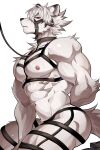 2025 2:3 abs anthro areola bangs barazoku biceps big_muscles bodily_fluids canid canine canis chung0_0 collar deltoids frown fur hair harness hi_res huge_muscles kemono kneeling leash leather legband looking_at_viewer male mammal mihoyo muscular muscular_anthro muscular_male muzzle_(object) muzzled narrowed_eyes navel nipples nude pecs serratus side_view simple_background solo sweat thick_arms thick_thighs triceps tuft von_lycaon white_background wolf zenless_zone_zero