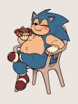 anthro blue_body blue_fur blush blush_lines chair cheek_bulge chili_dog clothing duo eating eulipotyphlan eyes_closed food footwear fur furniture gloves handwear hedgehog hi_res hot_dog hyggezone looking_pleasured male mammal on_chair overweight overweight_anthro overweight_male pose red_clothing red_footwear red_shoes sega shoes sitting sitting_on_chair sonic_the_hedgehog sonic_the_hedgehog_(series)