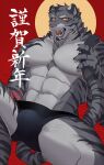  1boy abs animal_ears bara black_male_underwear boxers bulge chest_hair chinese_zodiac feet_out_of_frame furry furry_male grey_fur hachi_duchi happy_new_year highres large_pectorals male_focus male_underwear mature_male muscular muscular_male navel navel_hair new_year nipples original pectorals short_hair solo stomach tail tail_grab thick_thighs thighs tiger_boy tiger_ears tiger_tail topless_male translation_request underwear underwear_only year_of_the_tiger 