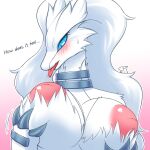  absurd_res anthro big_breasts blue_eyes blush breast_grab breasts coolryong dragon female fur hand_on_breast hi_res legendary_pok&eacute;mon nintendo nipples nude pok&eacute;mon pok&eacute;mon_(species) reshiram solo video_games white_body white_fur 
