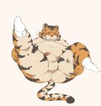  2022 anthro balls belly blush butt erection eyes_closed felid genitals haoming hi_res humanoid_genitalia humanoid_hands humanoid_penis kemono lying male mammal moobs nipples overweight overweight_male pantherine penis simple_background solo tiger 