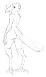  2020 absurd_res ambiguous_gender anthro avian beak bird butt claws digitigrade feathers hand_behind_head hand_on_leg hand_on_thigh hi_res holding_head lakeslug looking_at_viewer looking_back looking_back_at_viewer looking_over_shoulders nude rear_view simple_background small_waist solo tail_feathers talons toe_claws white_background 